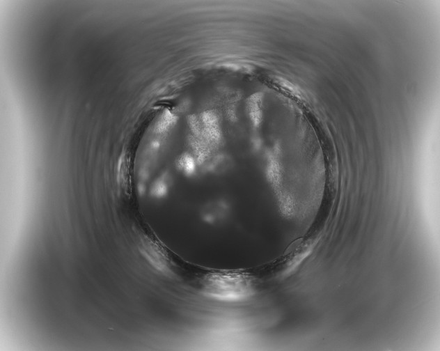 X0000084520181200703161555