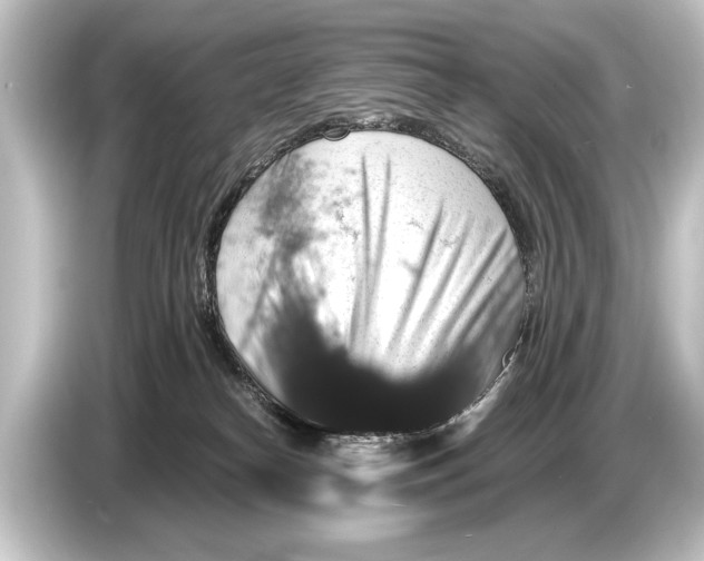 X0000084520182200703161555