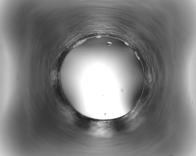 X0000084520184200703161555