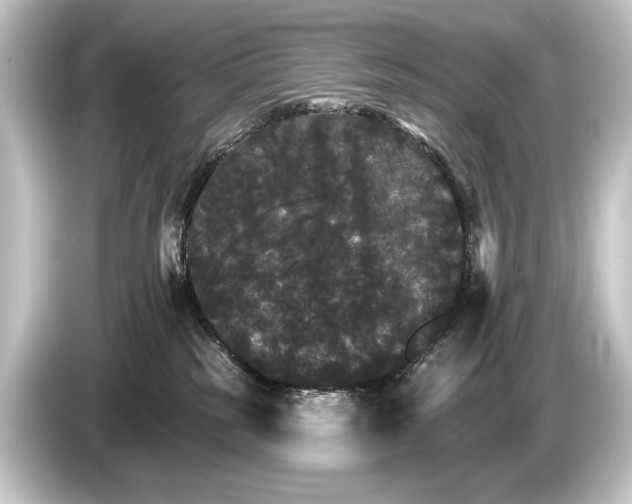 X0000084520185200703161555