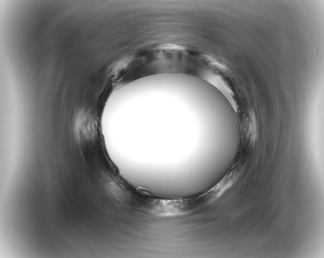 X0000084520188200703161555