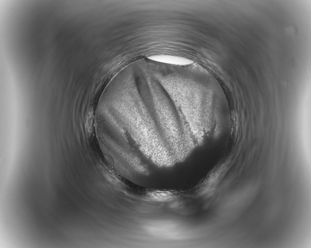 X0000084520189200703161555