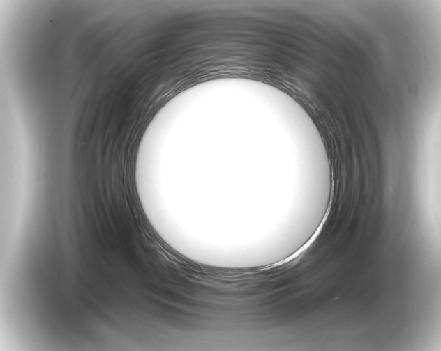 X0000084520190200703161555