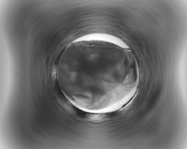 X0000084520191200703161555