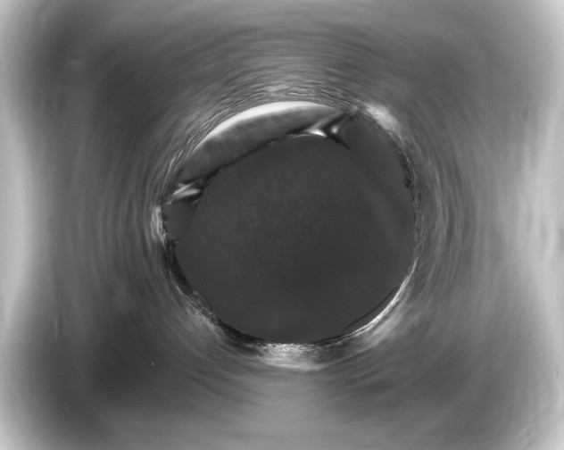 X0000084520192200703161555