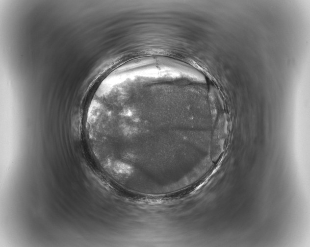 X0000084520194200703161554