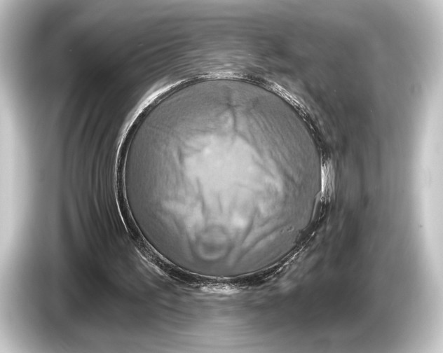 X0000084520195200703161554