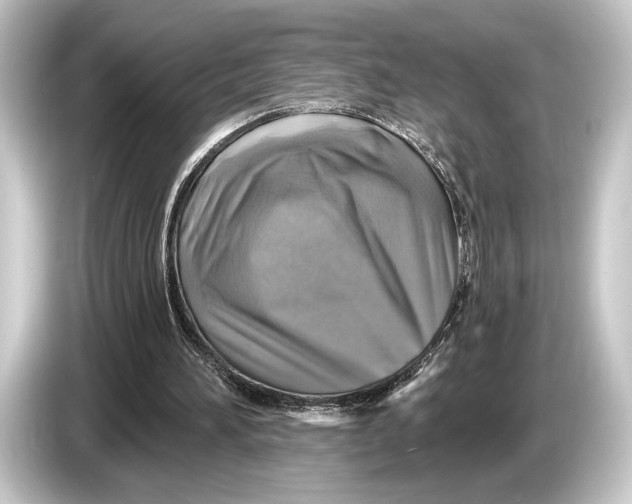 X0000084520196200703161554