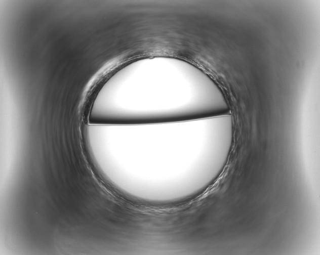 X0000084520197200703161554