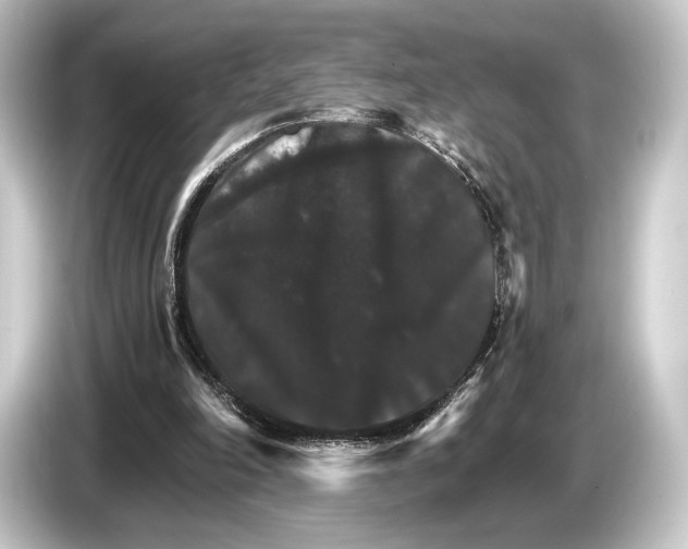 X0000084520198200703161554