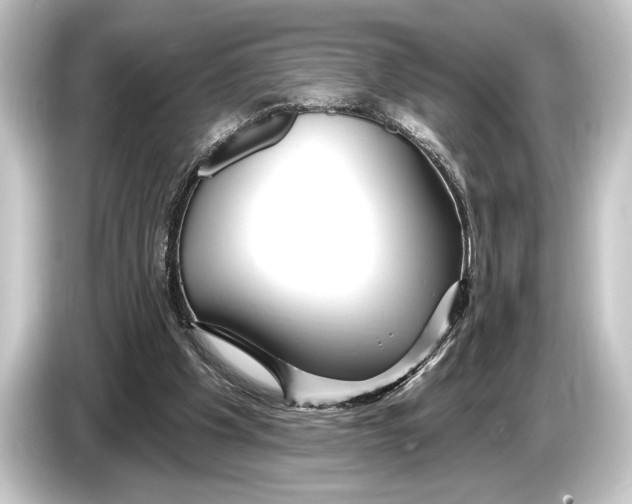 X0000084520201200703161554