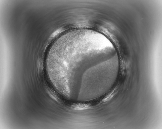 X0000084520203200703161554