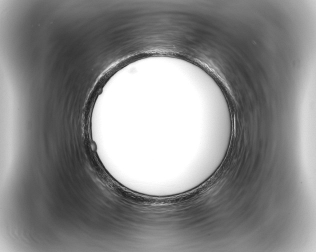 X0000084520204200703161554