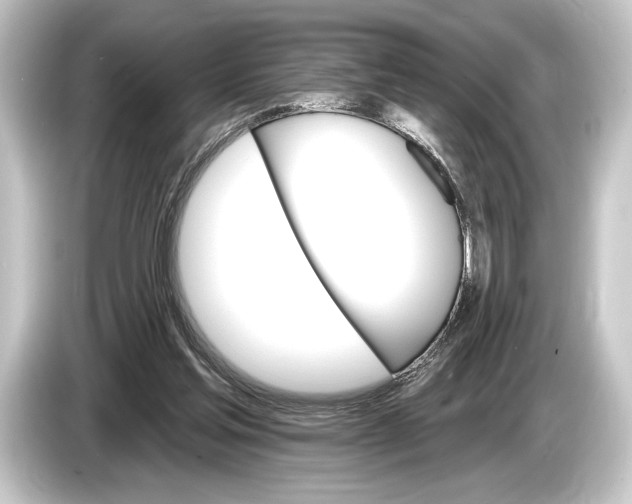 X0000084520205200703161554