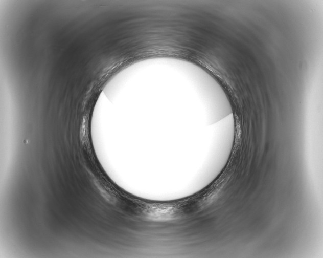 X0000084520206200703161554