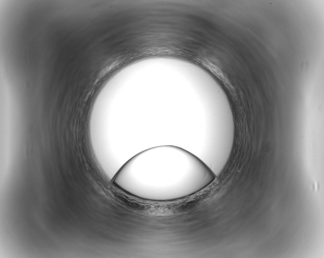 X0000084520207200703161554