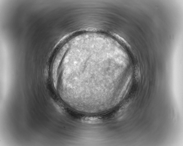 X0000084520208200703161554