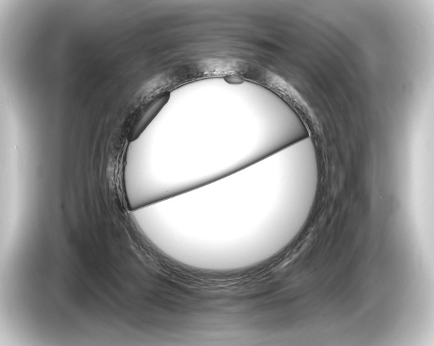 X0000084520209200703161554