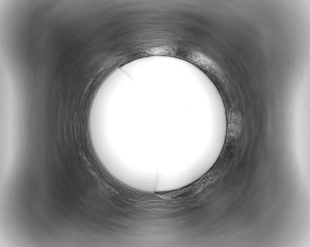 X0000084520210200703161554