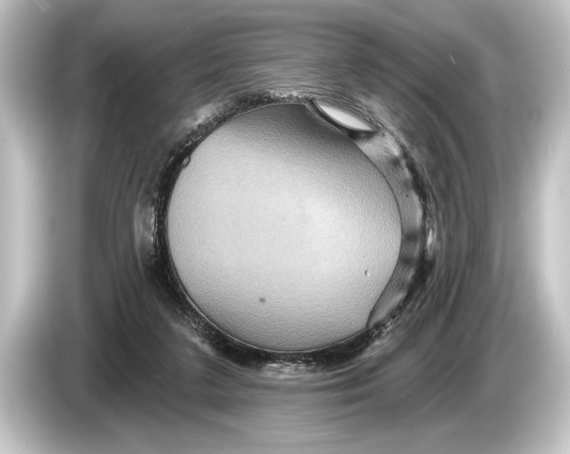 X0000084520211200703161554