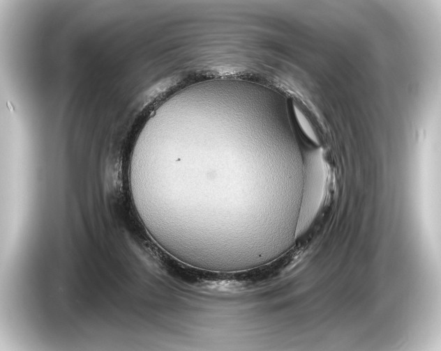 X0000084520212200703161554