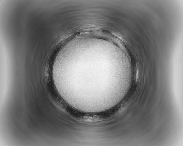 X0000084520215200703161554