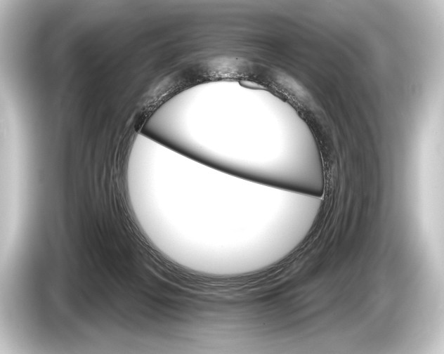 X0000084520217200703161554