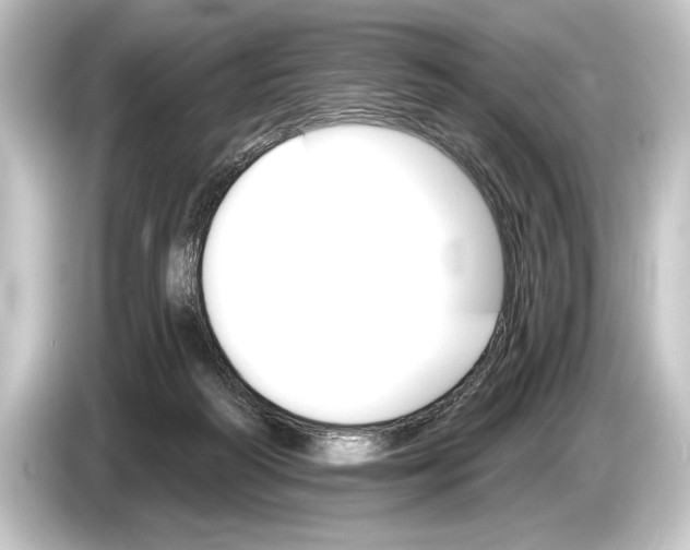 X0000084520218200703161554