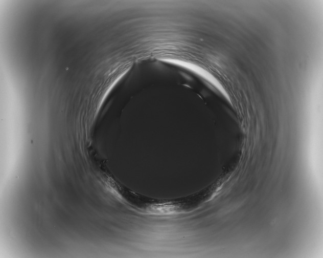 X0000084520219200703161554