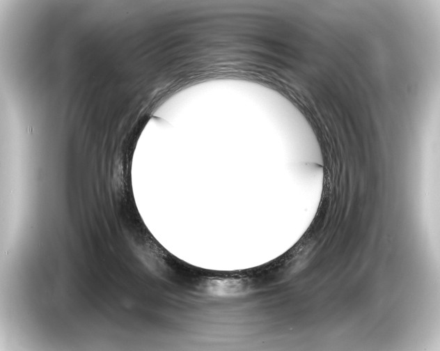 X0000084520220200703161554