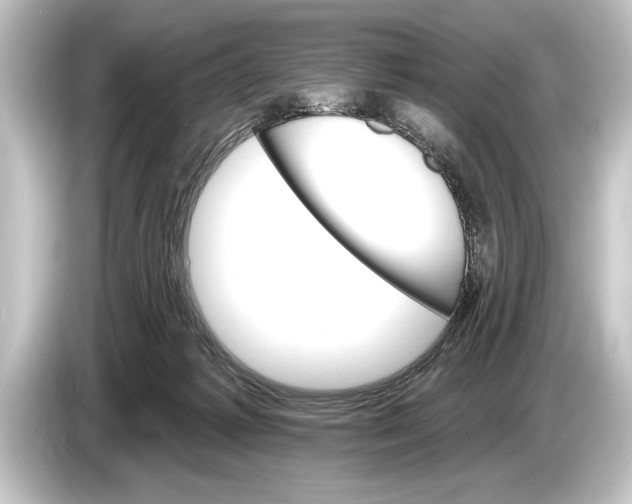 X0000084520221200703161554