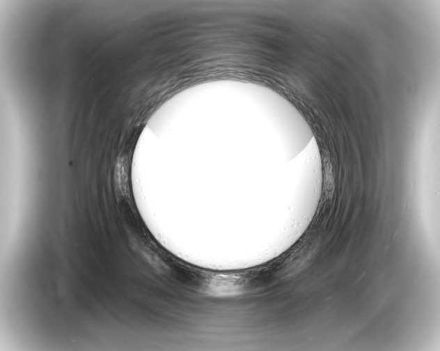 X0000084520222200703161554