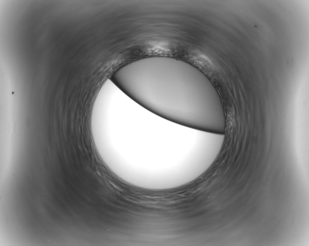 X0000084520223200703161554