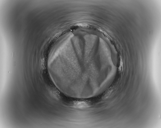 X0000084520224200703161554