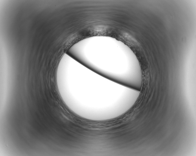 X0000084520225200703161554