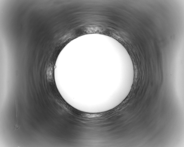 X0000084520226200703161554