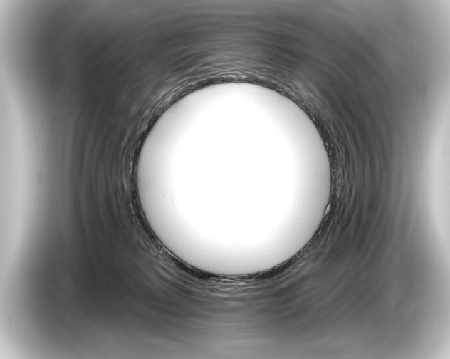 X0000084520229200703161554