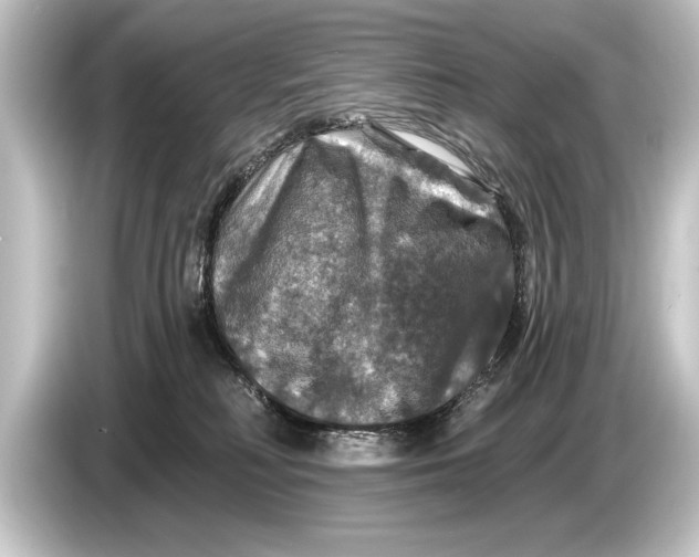 X0000084520230200703161554