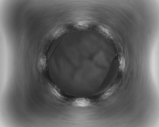 X0000084520231200703161554