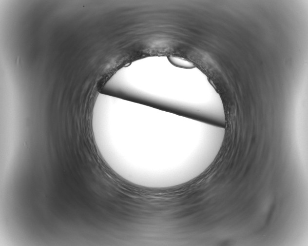 X0000084520232200703161554