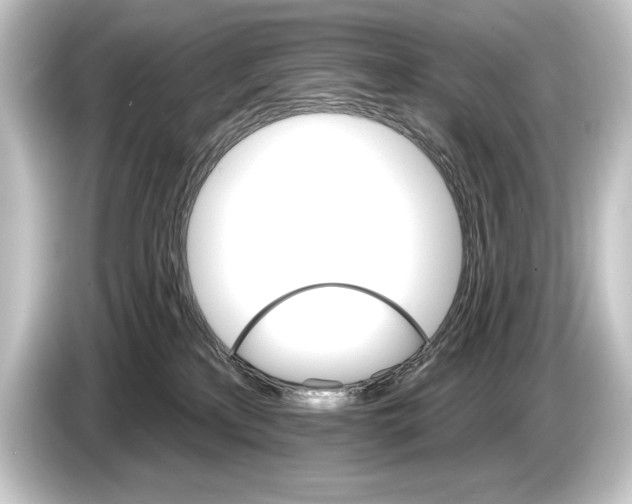 X0000084520233200703161554