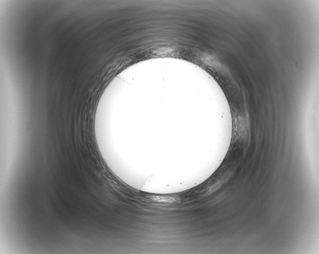 X0000084520234200703161554