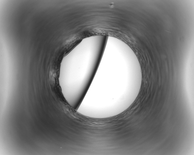 X0000084520235200703161554