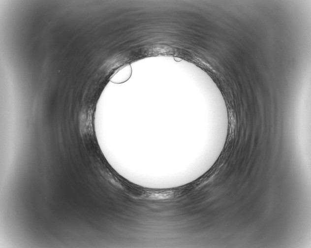 X0000084520236200703161554