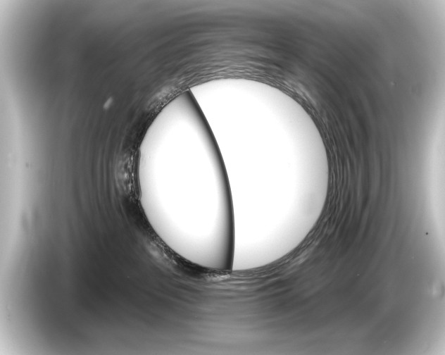 X0000084520237200703161554