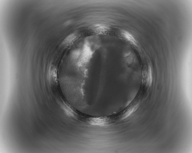 X0000084520238200703161554