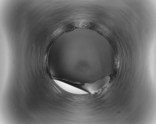 X0000084520239200703161554