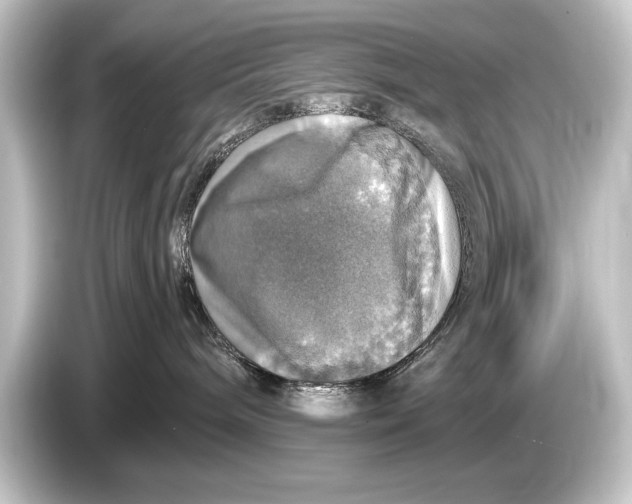 X0000084520240200703161554