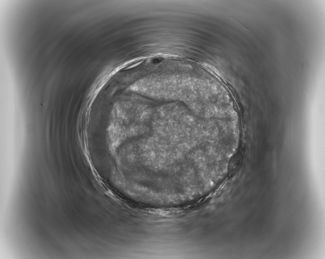 X0000084520241200703161553