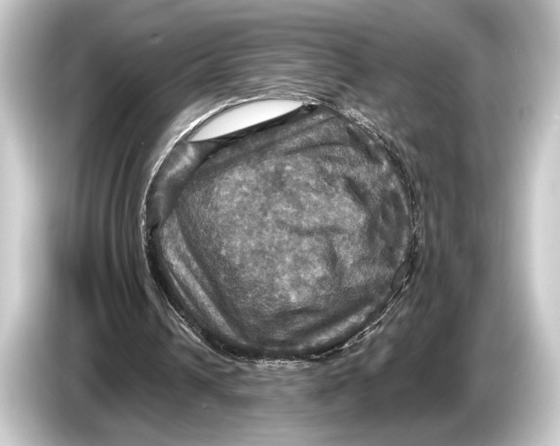 X0000084520242200703161553